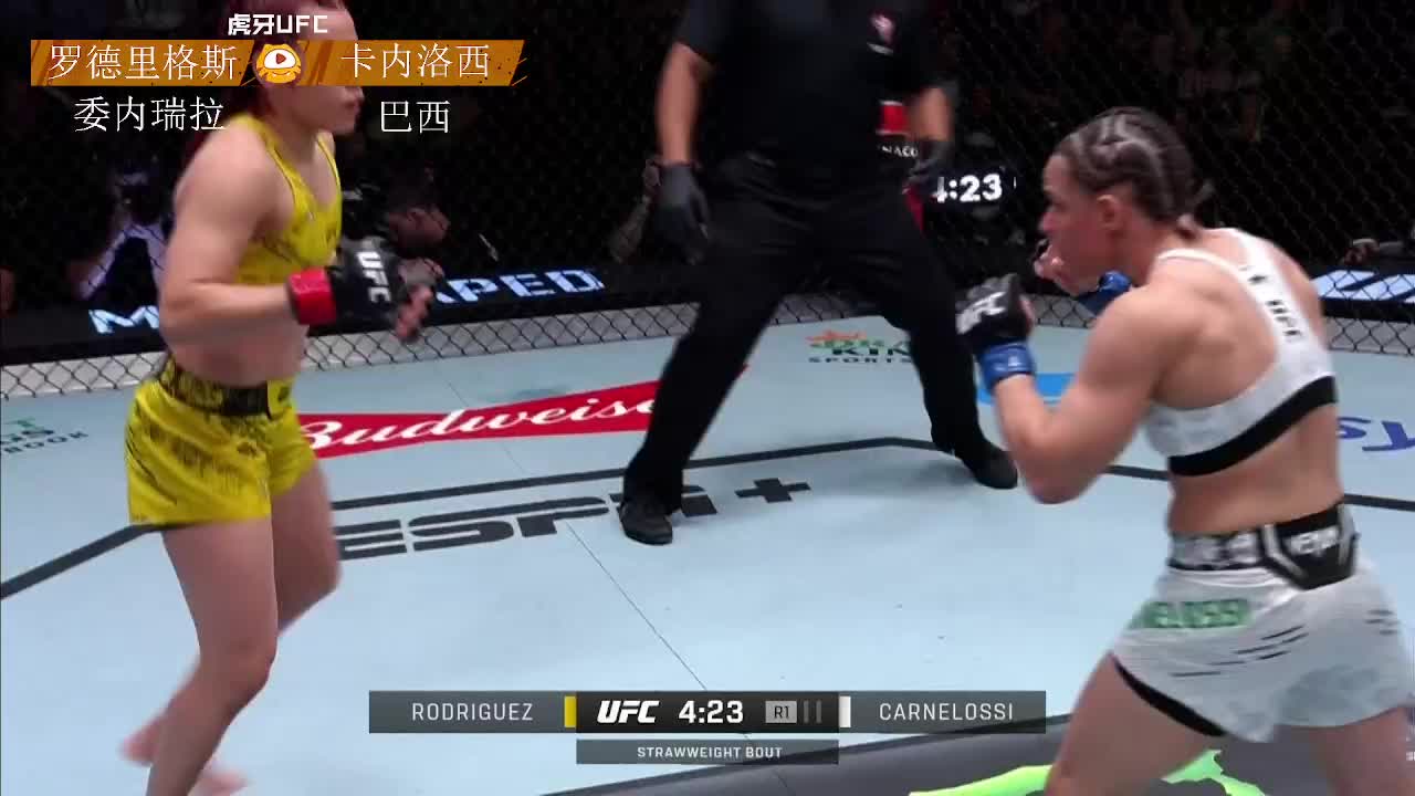 [重播]阿拉腾黑力判定稳赢罗德里格斯！UFC格斗之夜241