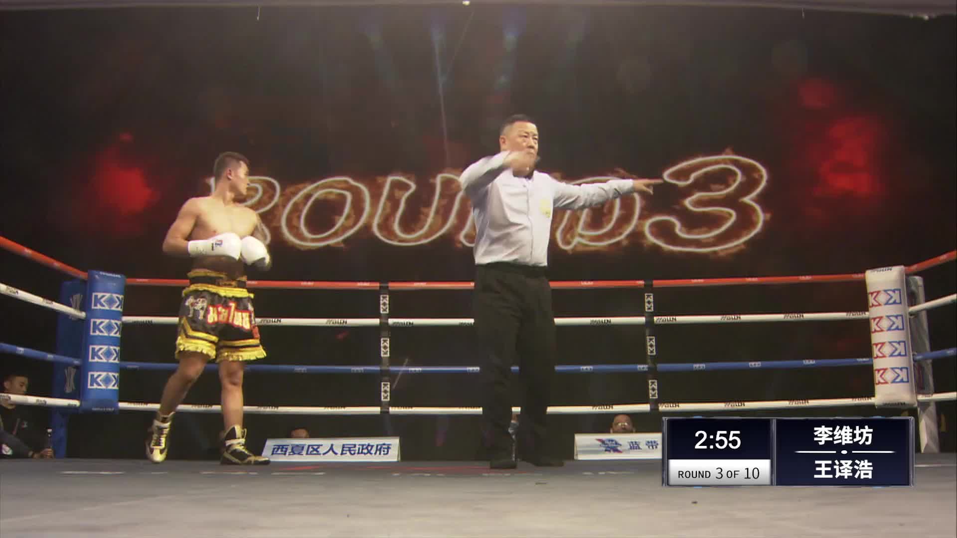 徐达vs刘文松 KOK职业拳击[重播]