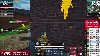 NV獲勝賽事集錦和平精英直播_NV獲勝賽事集錦視頻直播 - 虎牙直播