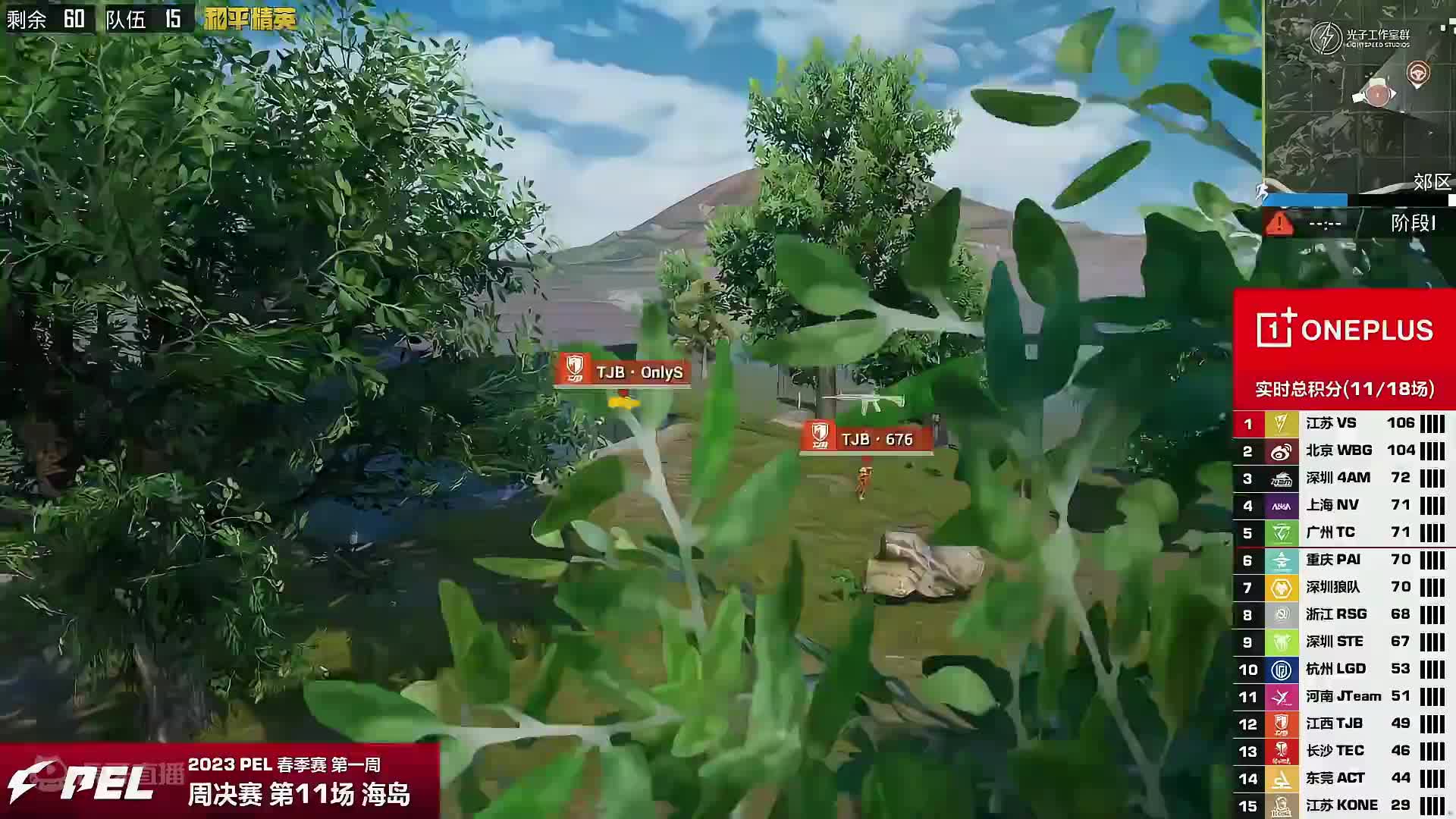 NV获胜赛事回顾