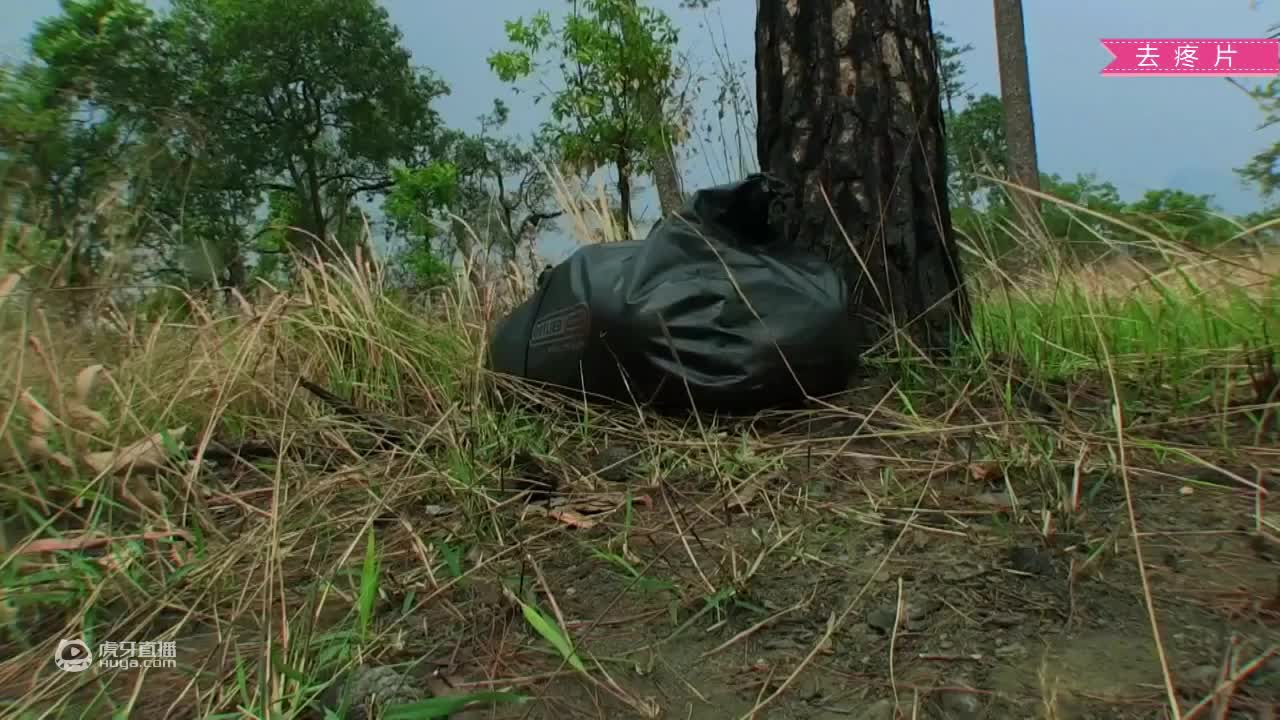 荒野挨饿德