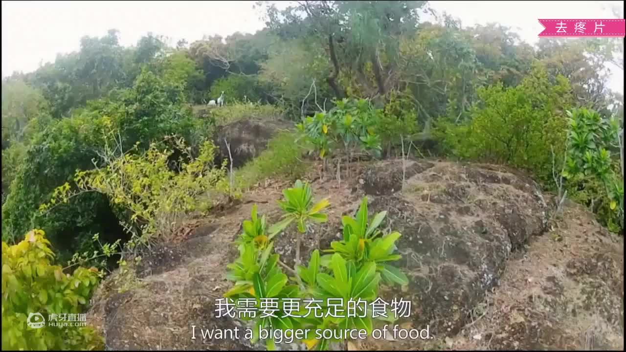 荒野挨饿德