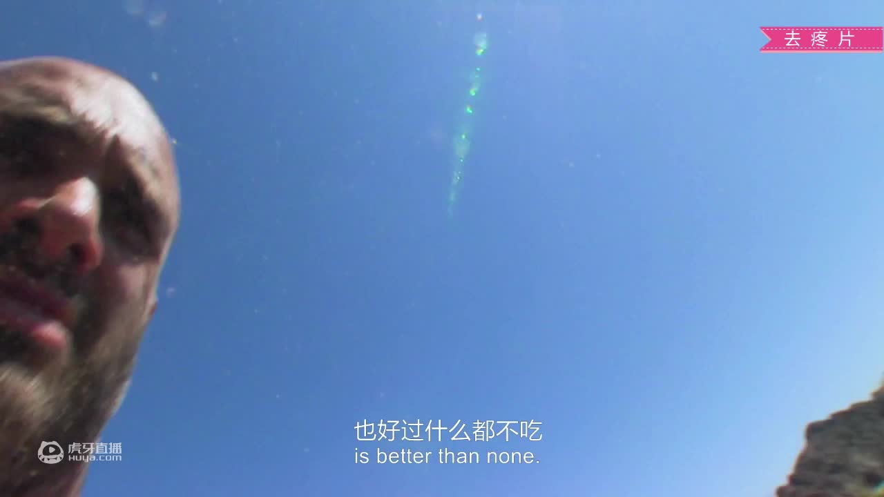 荒野挨饿德