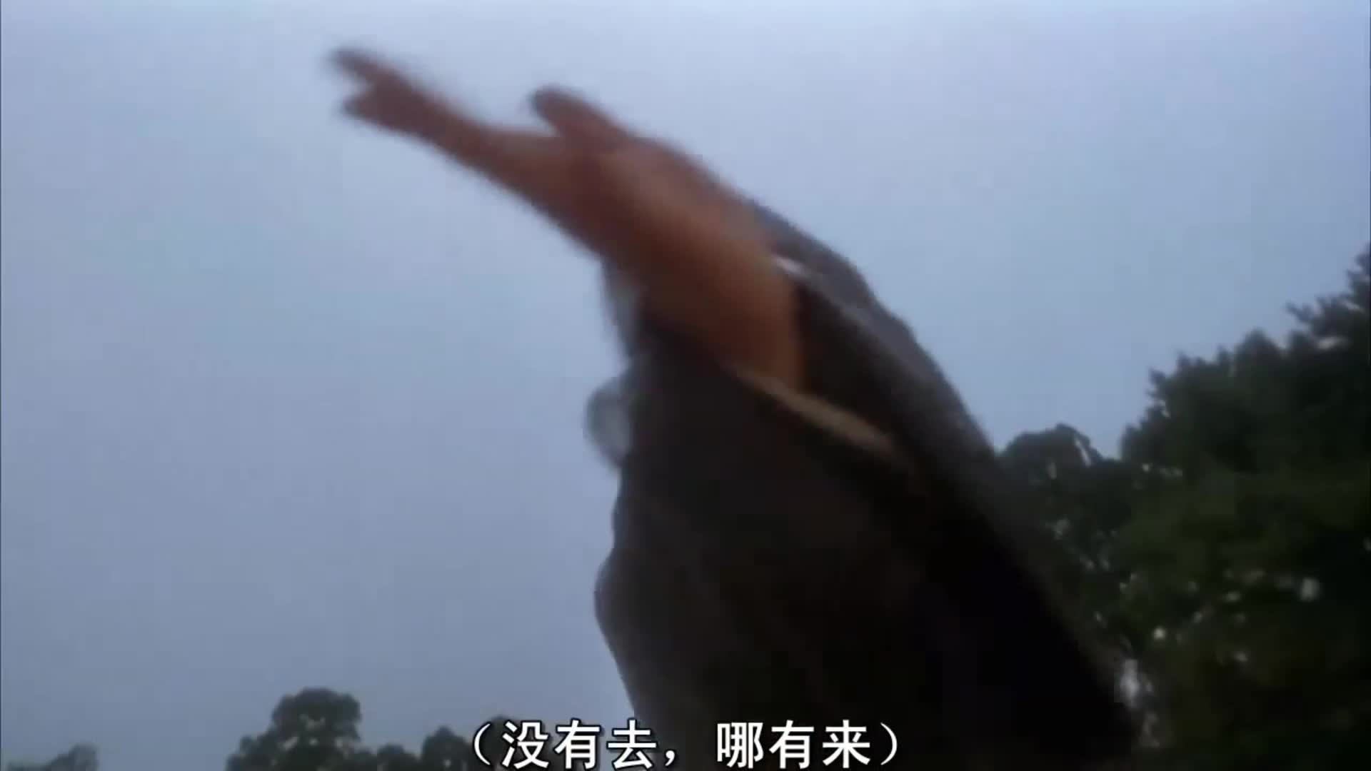 超爽动作电影 九龙城寨精武英雄