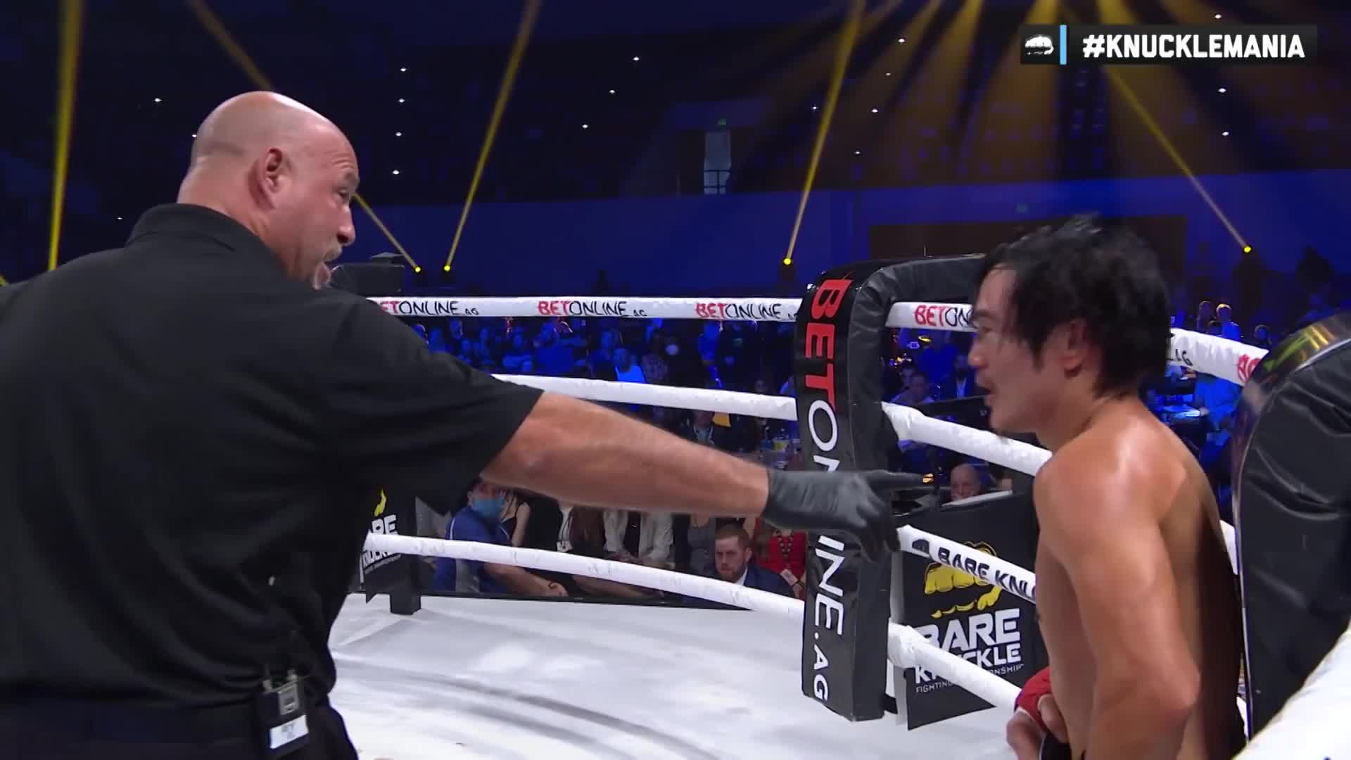 欢迎来到拳迷豪哥的直播间