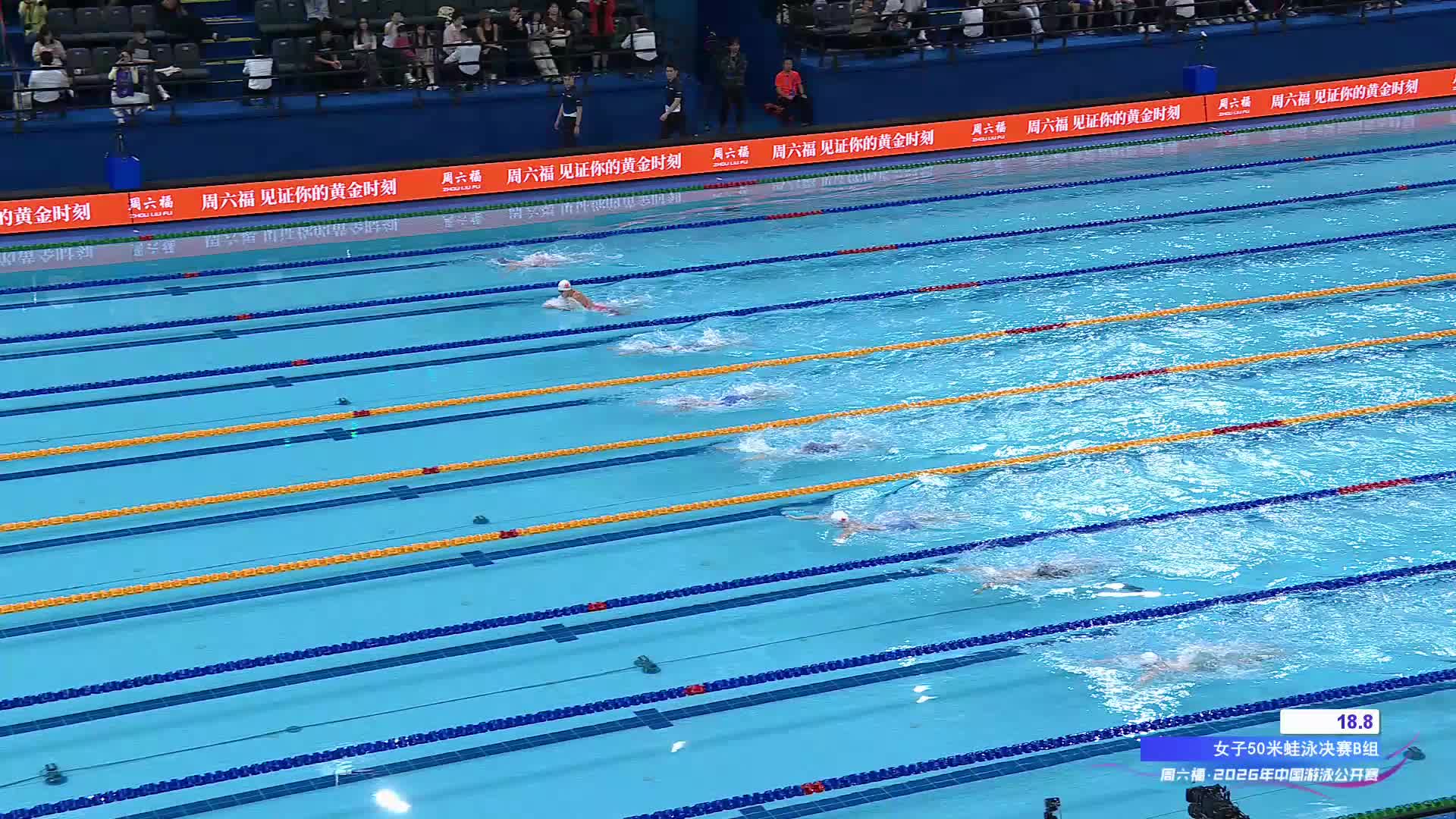 【精彩回放】 中国游泳公开赛