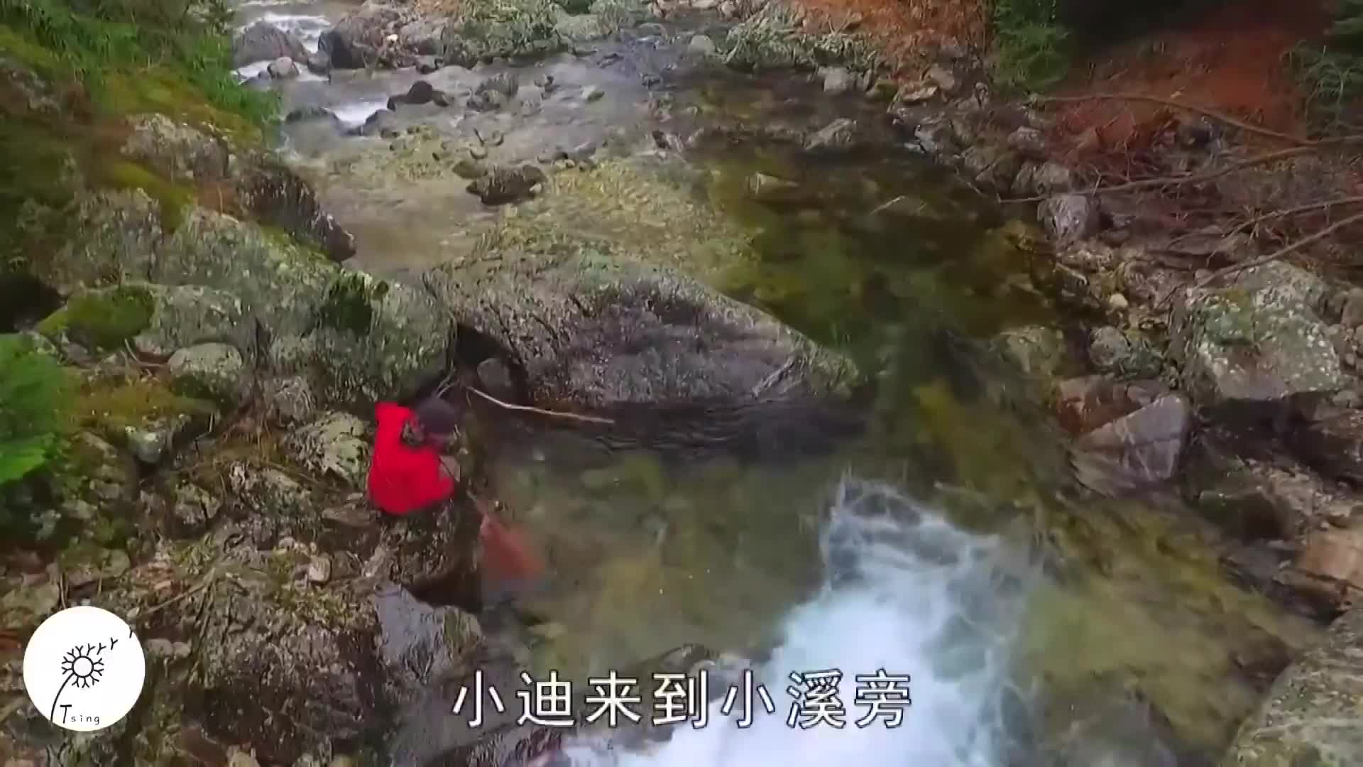 求生1+1