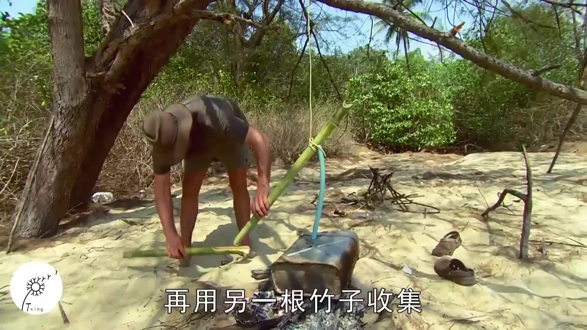 求生1+1