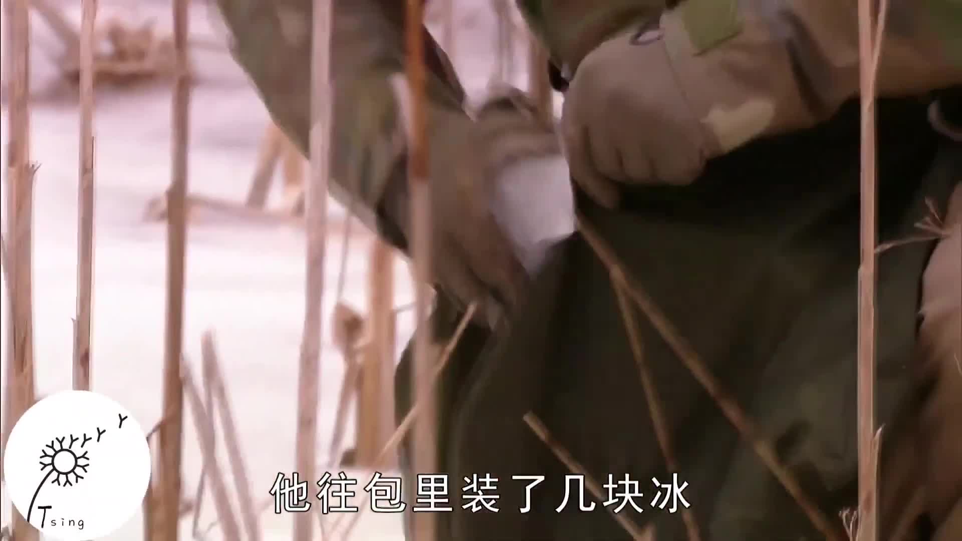 求生1+1