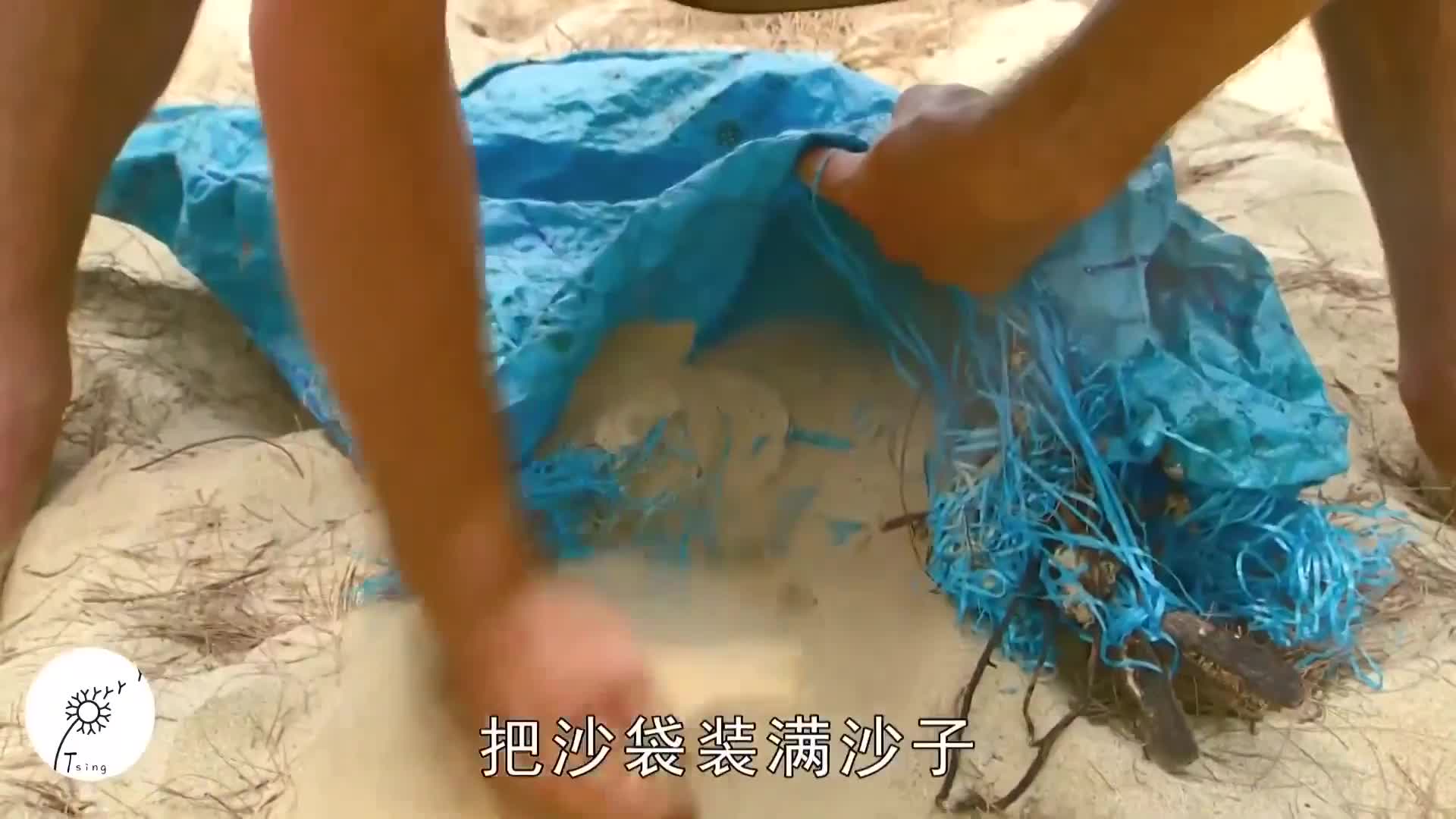 求生1+1