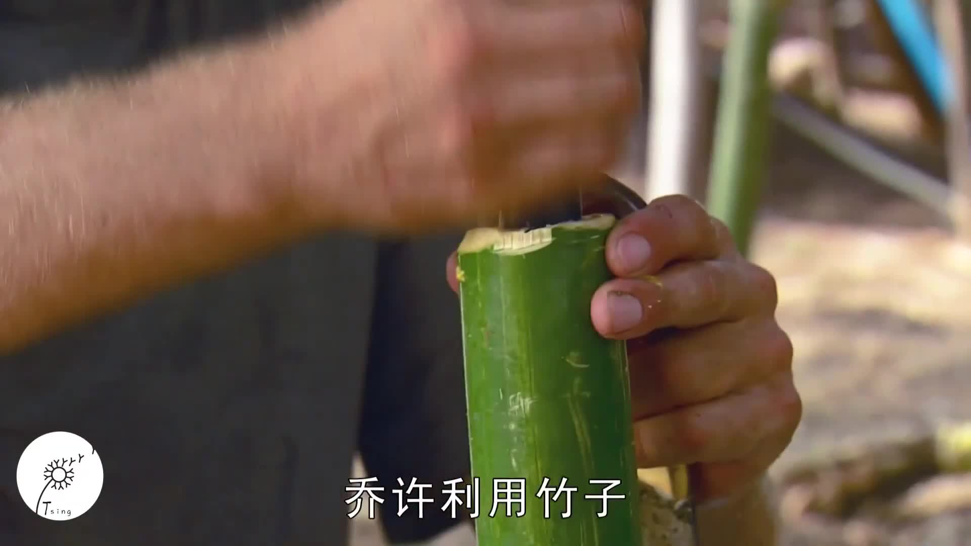 求生1+1