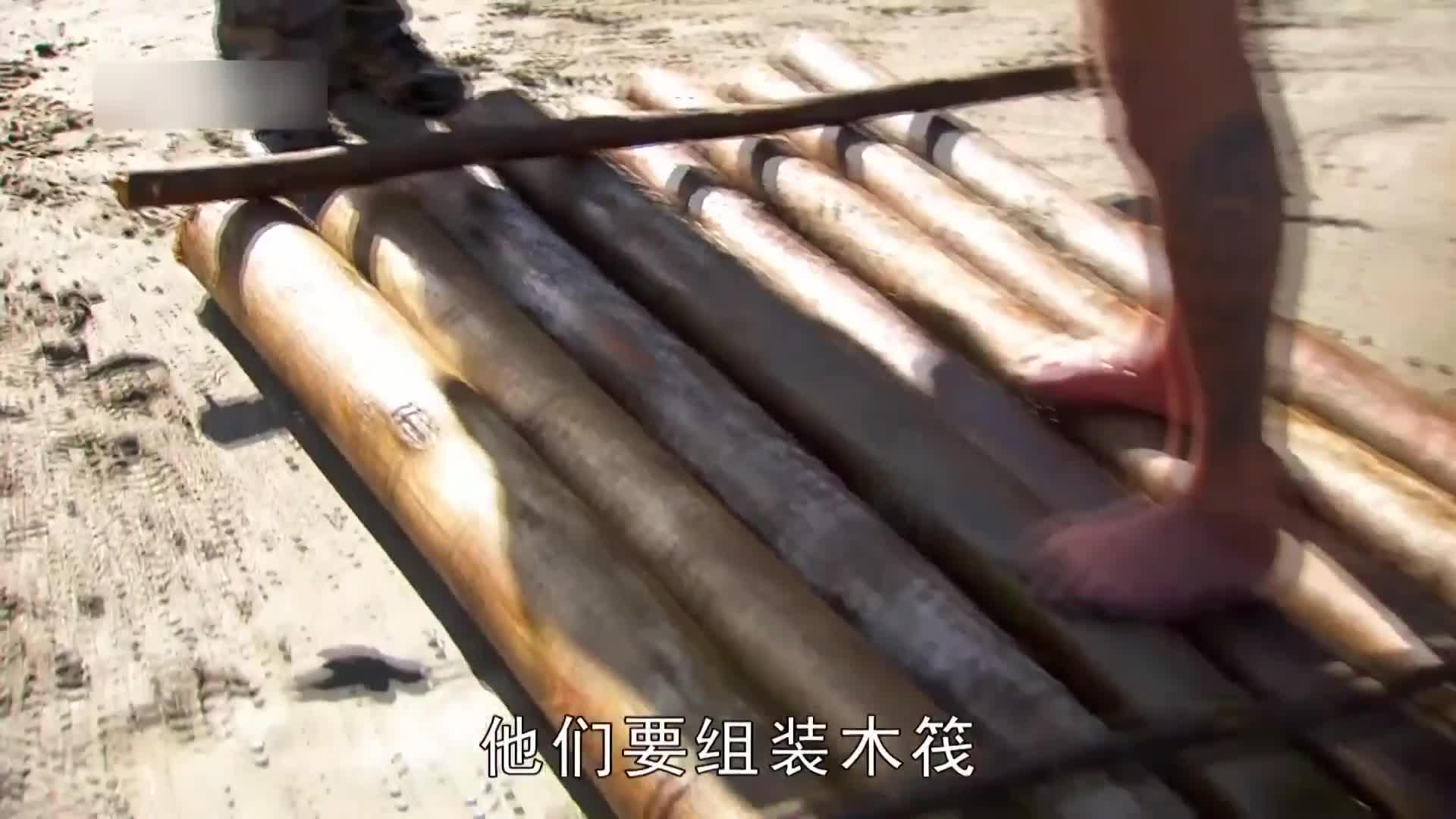 求生1+1