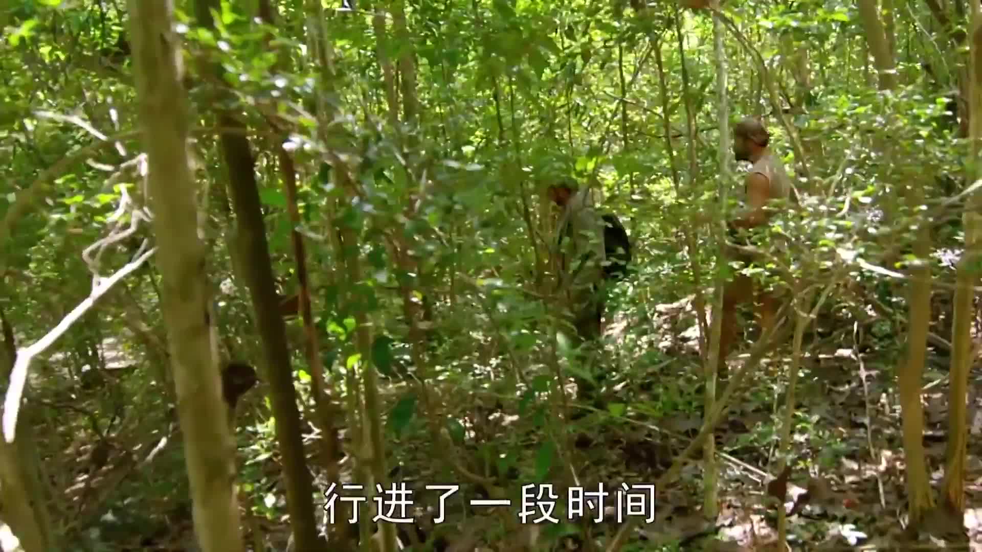 求生1+1
