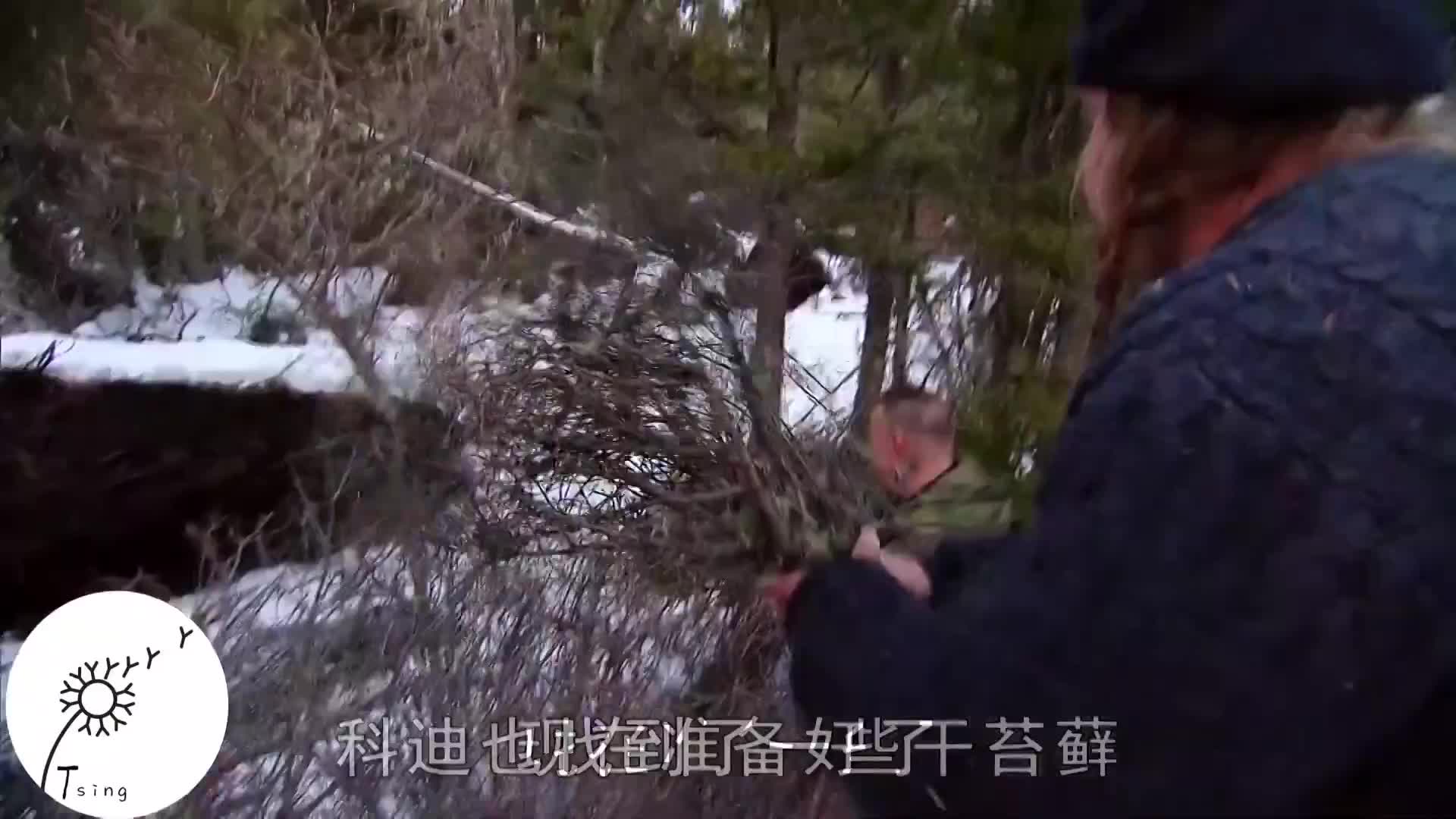求生1+1