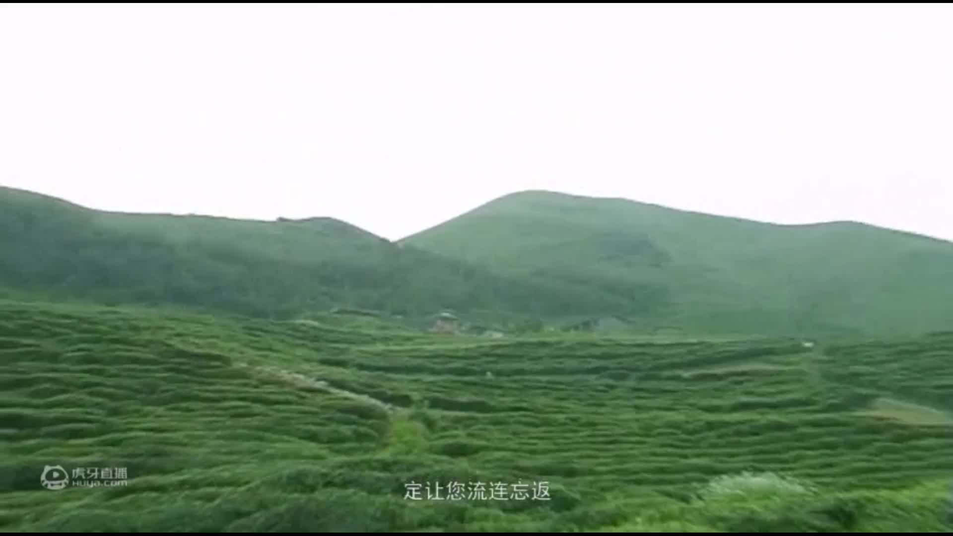 欢迎来到中国推介的直播间