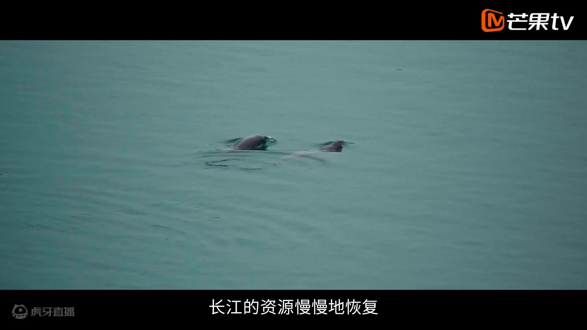 欢迎来到我是一颗小虎牙j的直播间