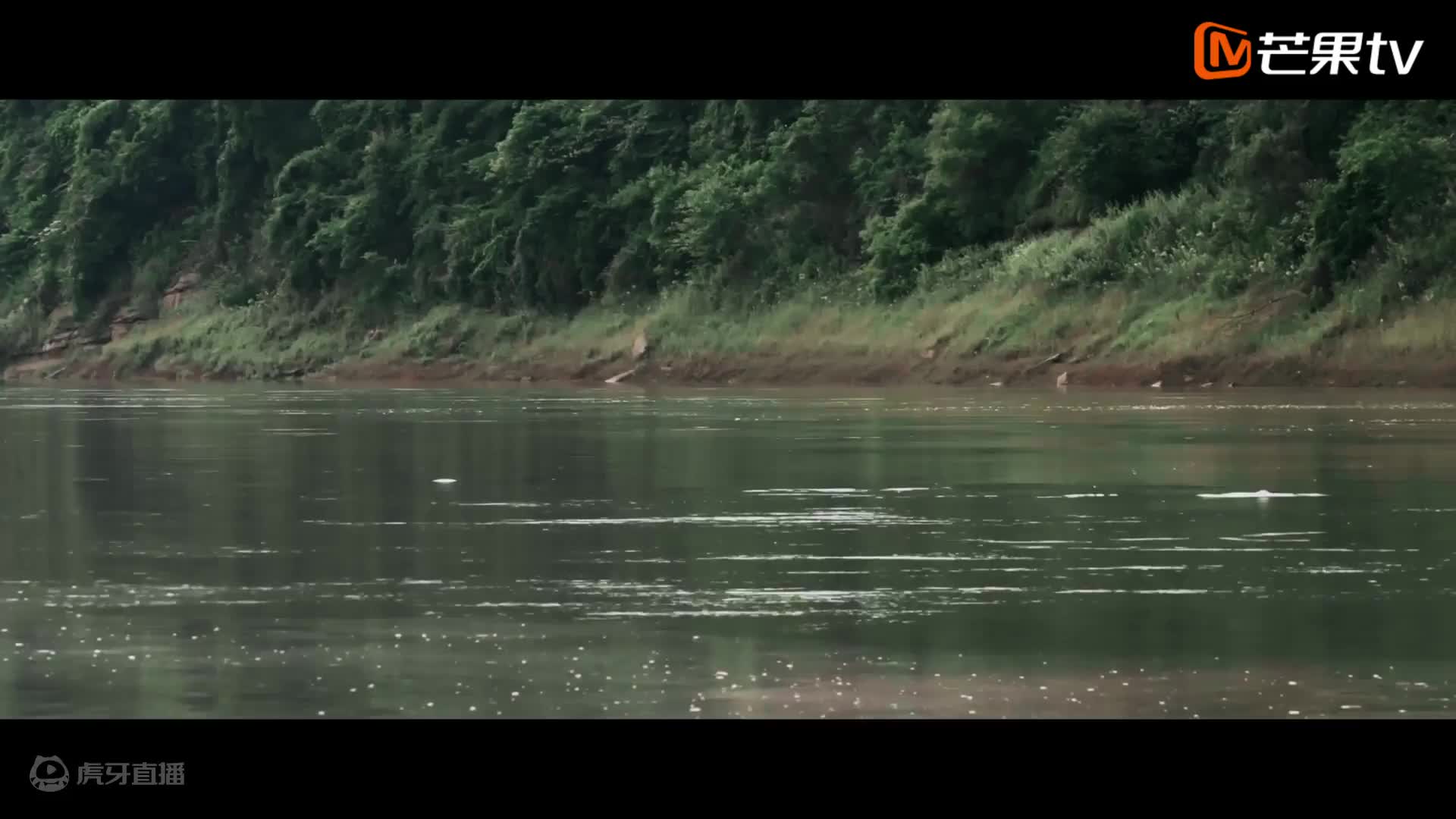 欢迎来到我是一颗小虎牙j的直播间