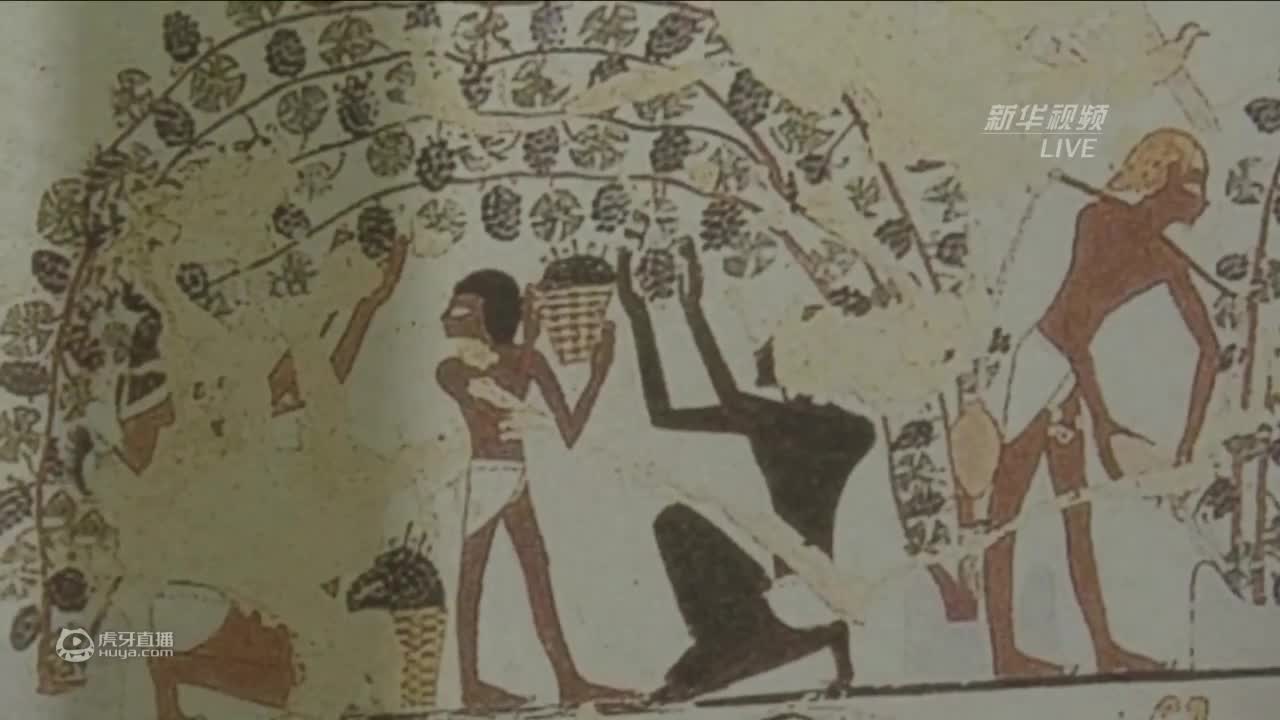 欢迎来到国云展的直播间