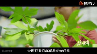 我是一顆小虎牙虎牙文化直播_我是一顆小虎牙視頻直播 - 虎牙直播