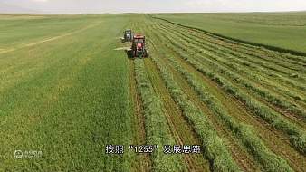 一顆小虎牙旅游直播_一顆小虎牙視頻直播 - 虎牙直播