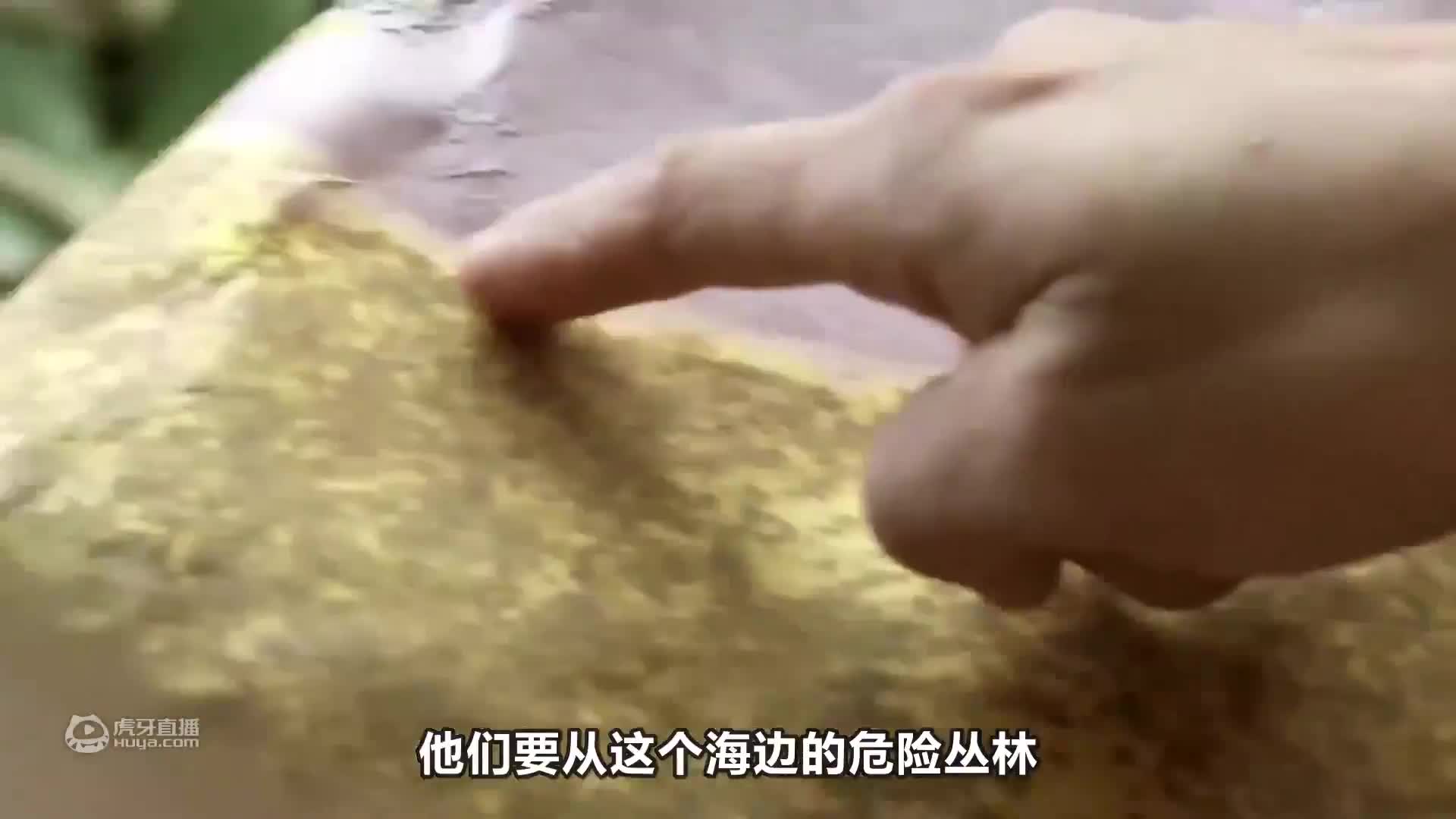 荒野1+1，生存挑战变相亲节目？