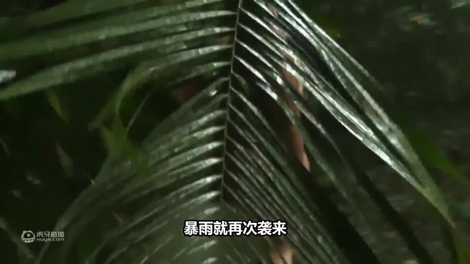 荒野1+1，生存挑战变相亲节目？