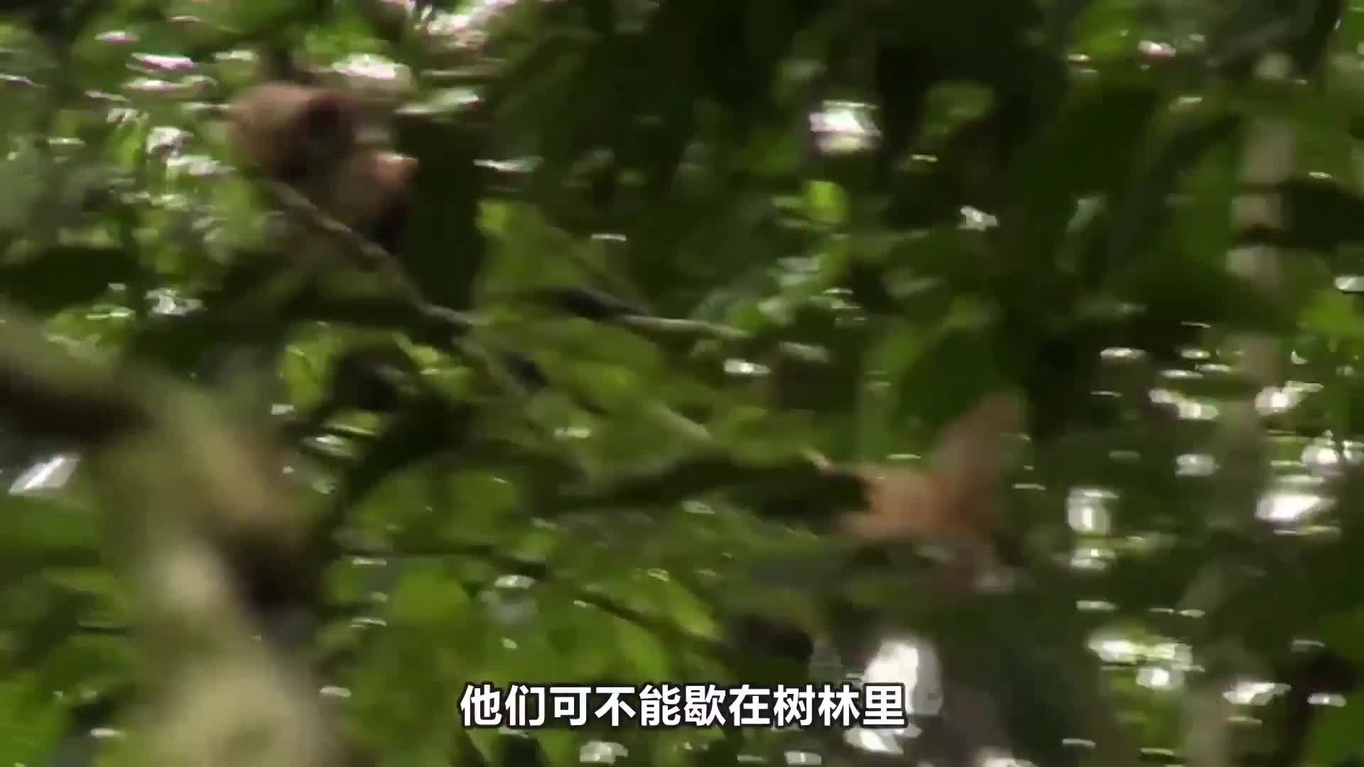 荒野1+1，生存挑战变相亲节目？