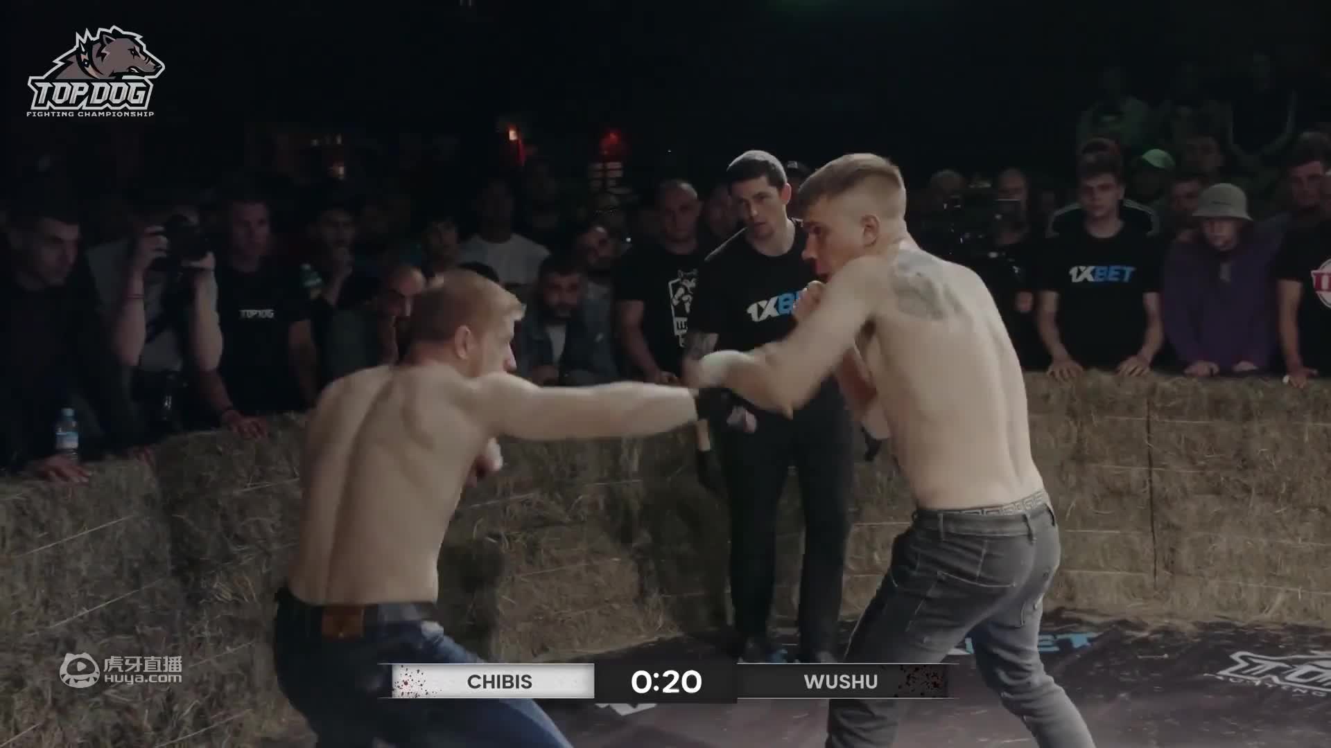 战斗民族裸拳搏击 爆裂打击肾上腺飙升