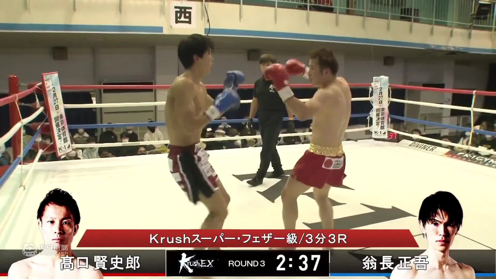 欢迎来到柔道赛事精选的直播间