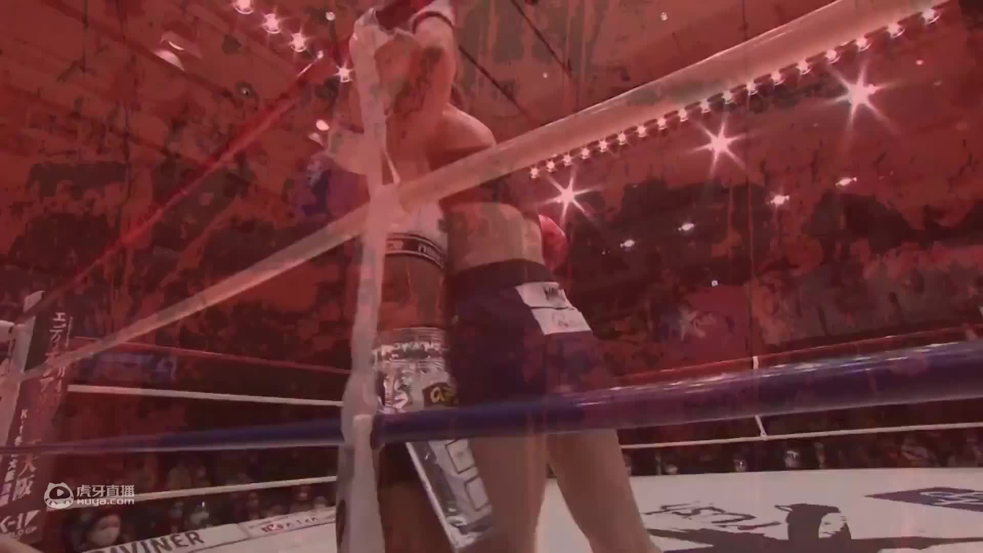 欢迎来到柔道赛事精选的直播间