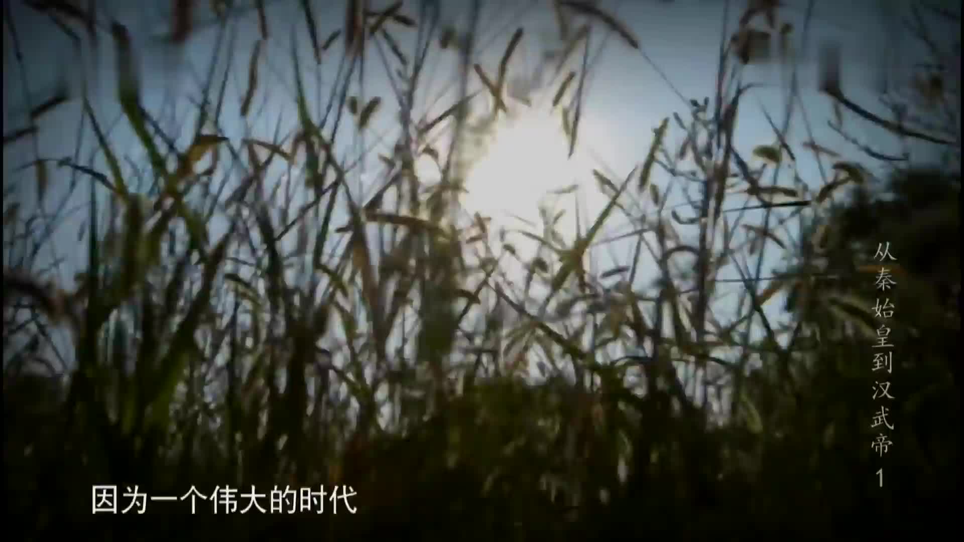 欢迎来到调查团的直播间