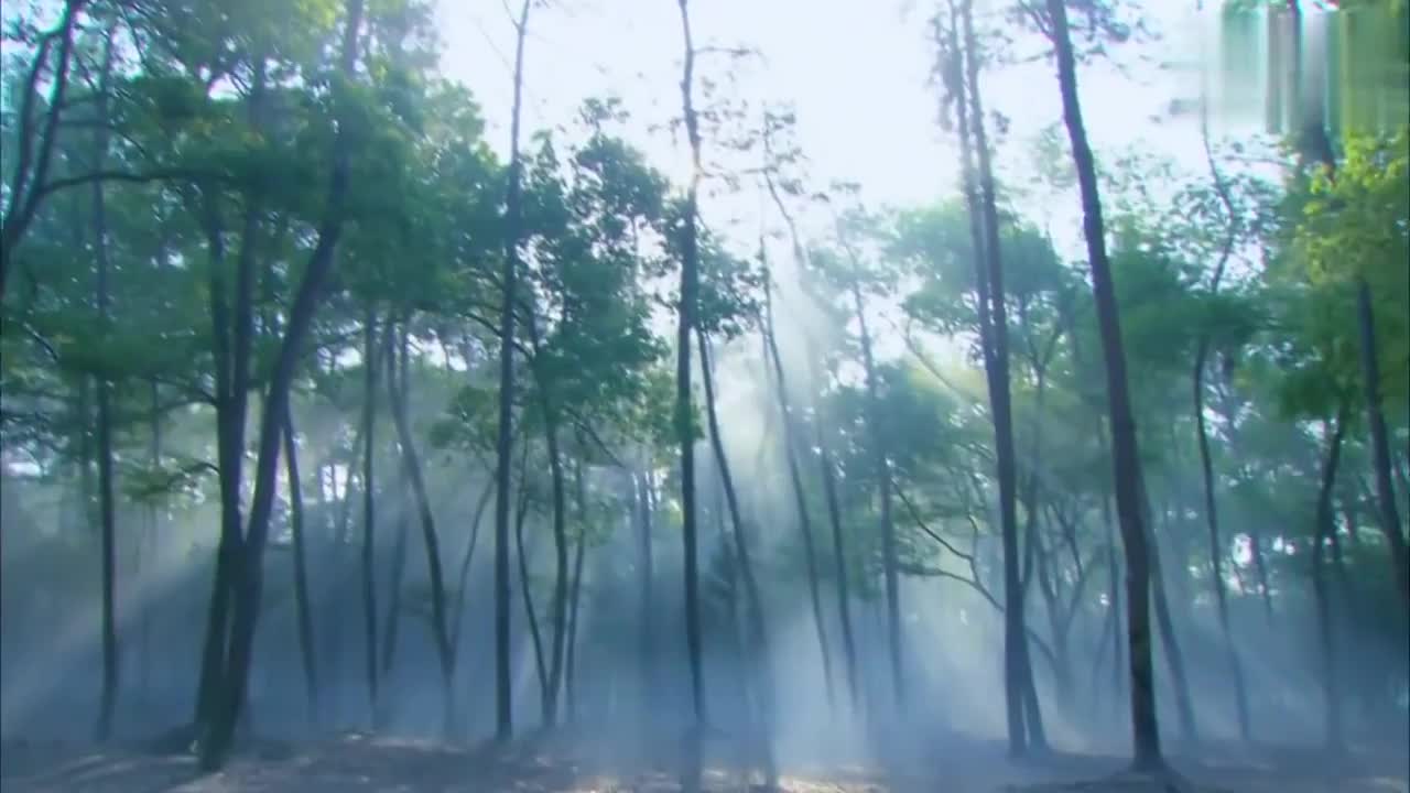 陆判 乾坤 恒娘 连锁 叶生 绿衣女