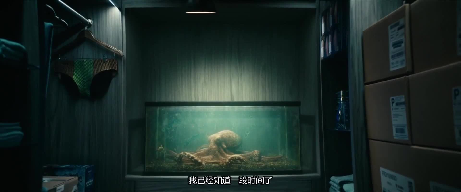 超级英雄全TM是流氓恶棍 更新第五季