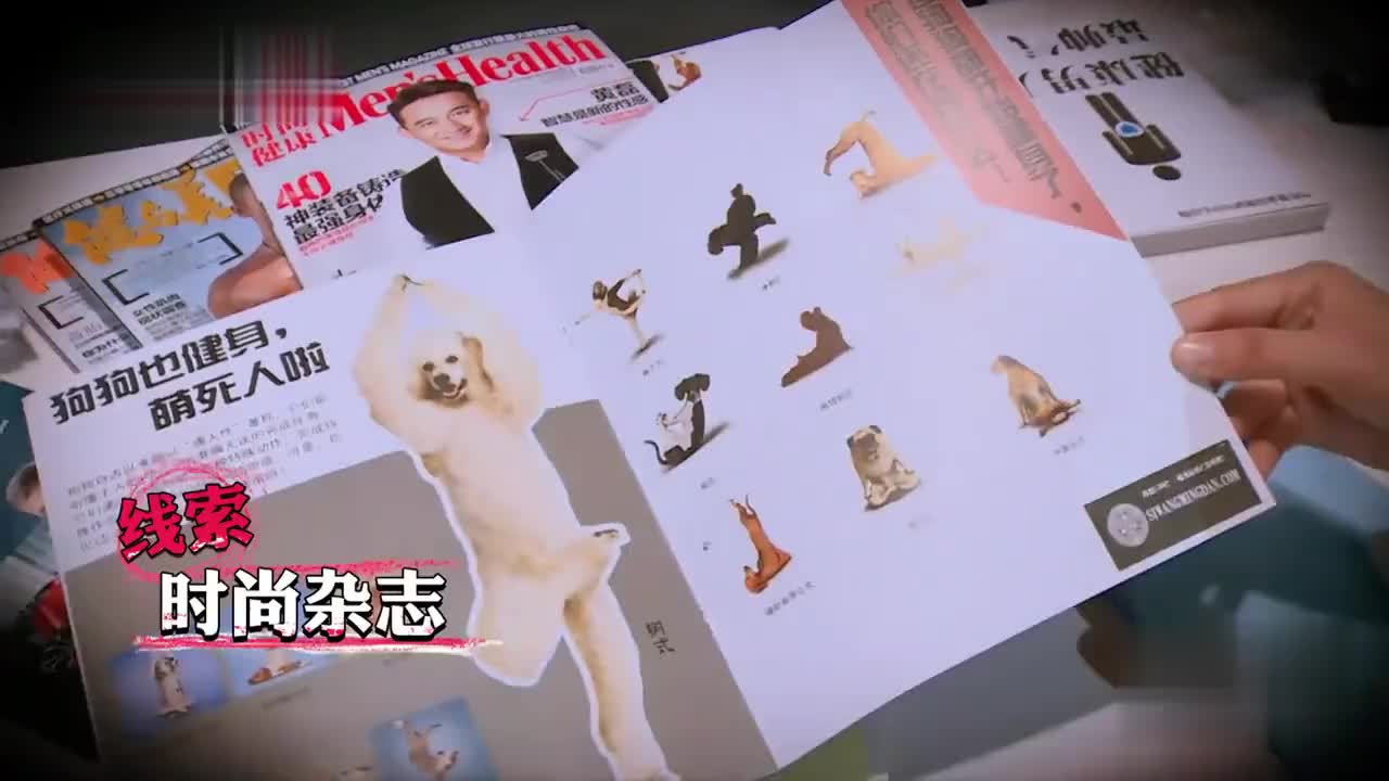 如此好笑！谁才是大侦探？