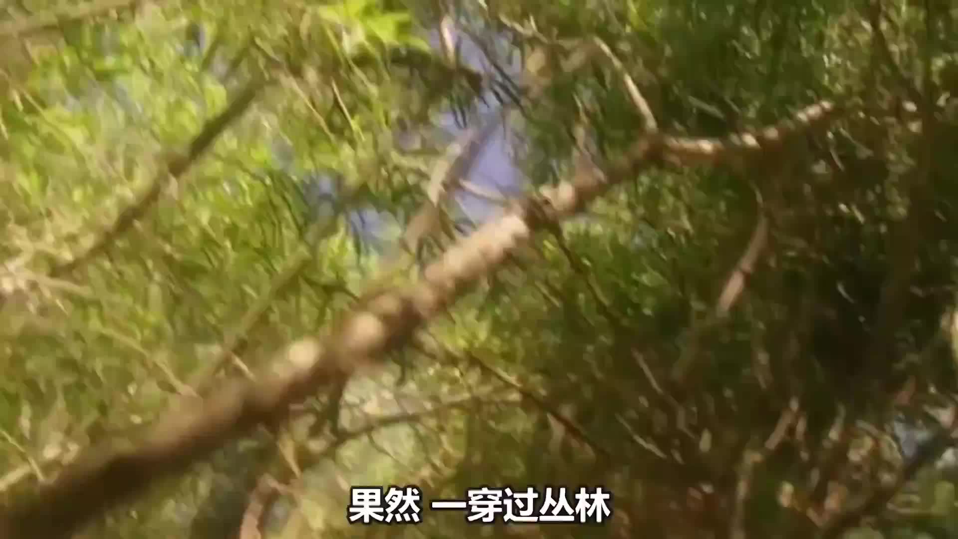 超硬核“美食”節目，貝爺勇闖北美最危險沙漠，喜獲烏鴉蛋的他使出超絕廚藝，來了一道石板煎鳥蛋