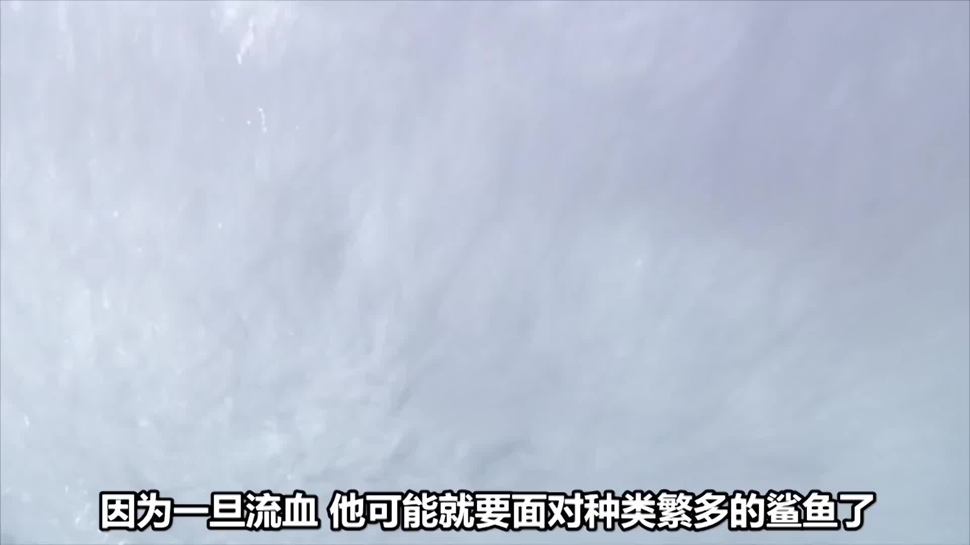 荒野求生 _ 貝爺的海島求生超愜意，360°海景免費看，還有燒烤大龍蝦吃