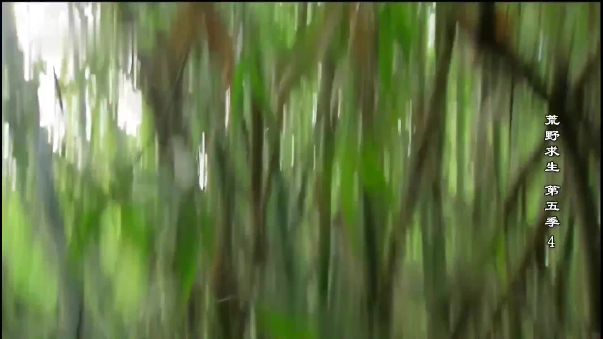 荒野求生第五季03