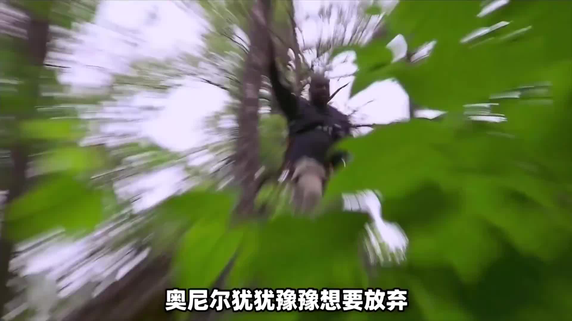 贝爷以手为饵钓到18斤大鲶鱼