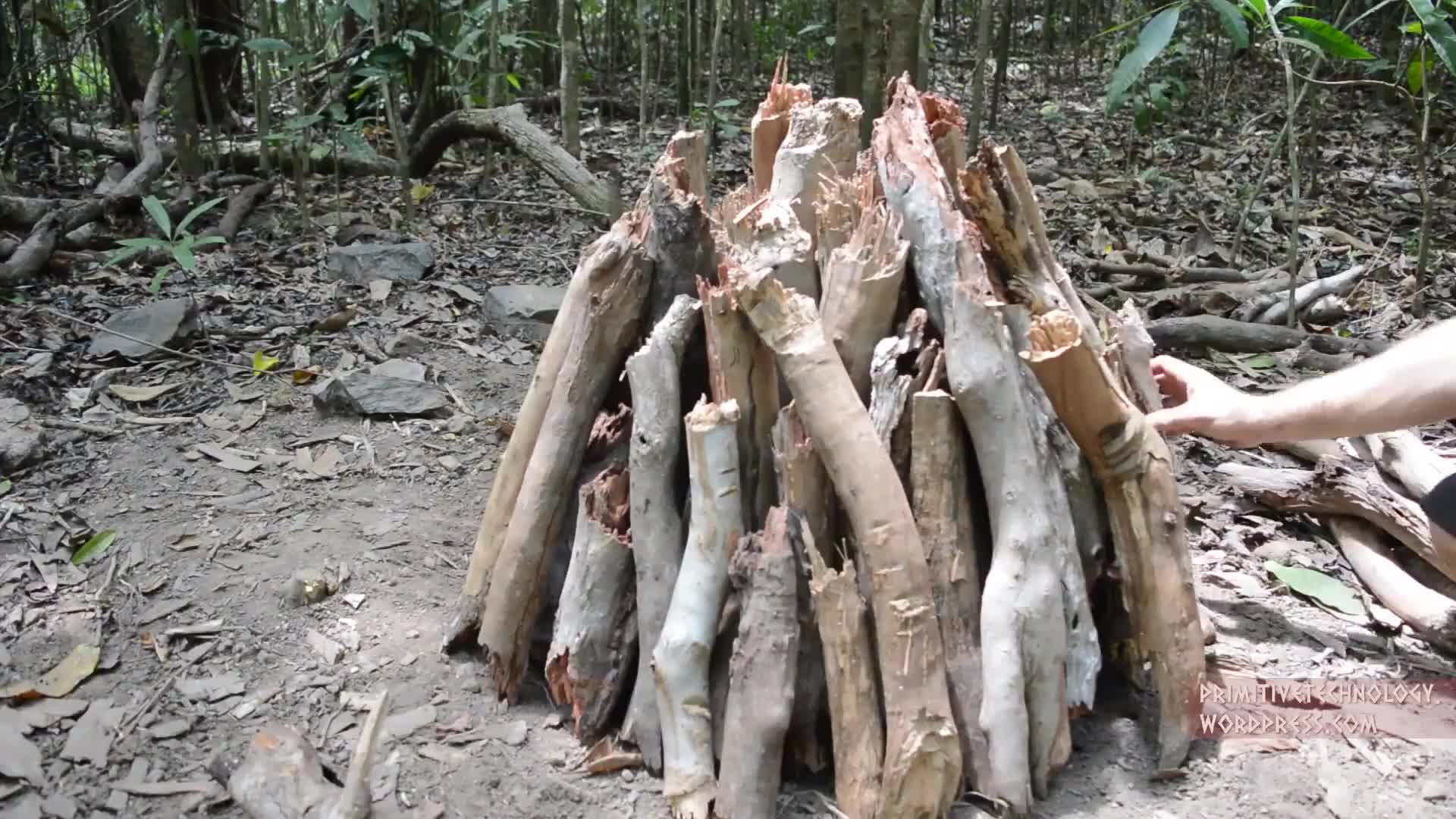 欢迎来到ByDiy的直播间
