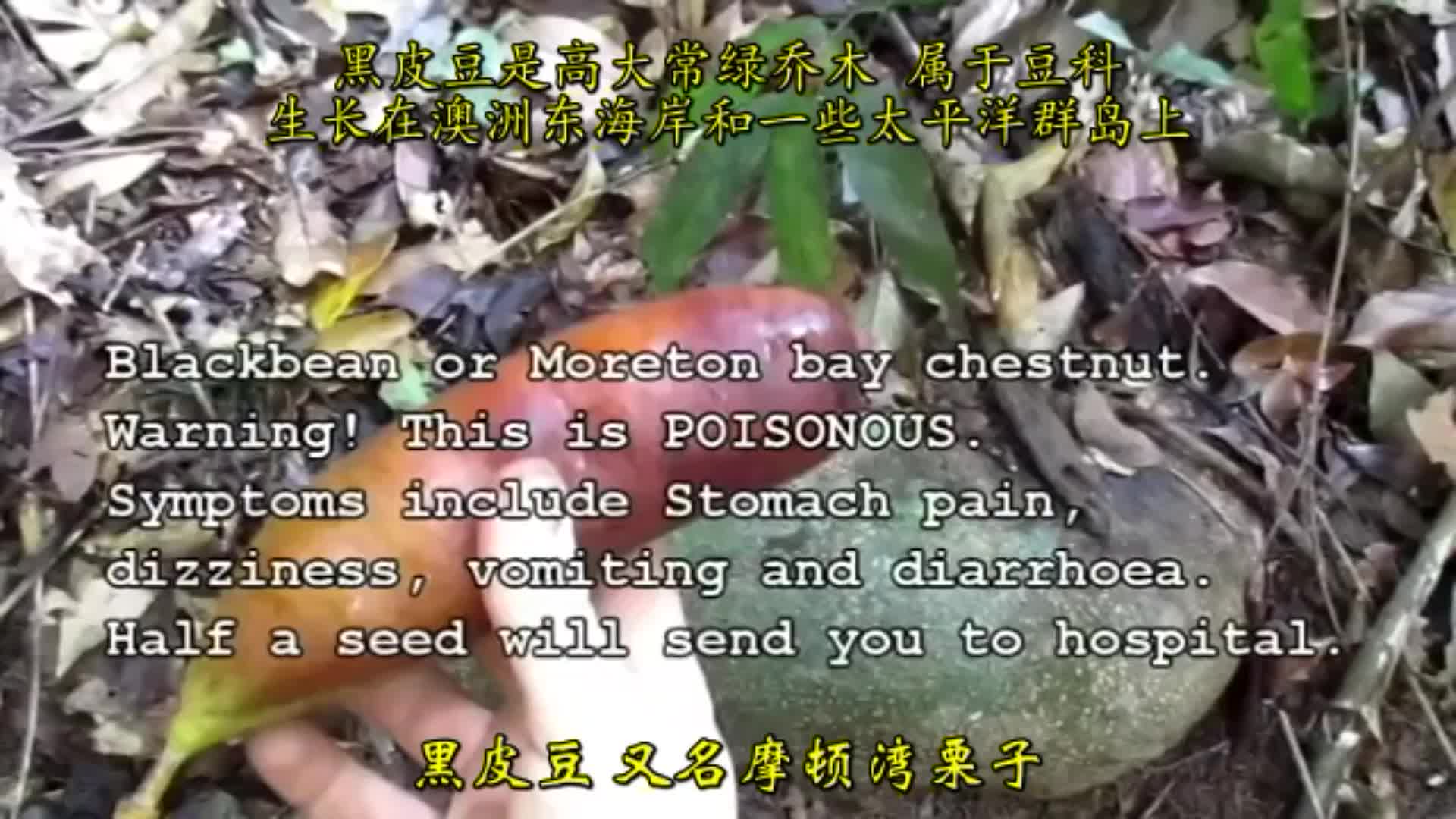 原始技术·小哥徒手建造温馨家园