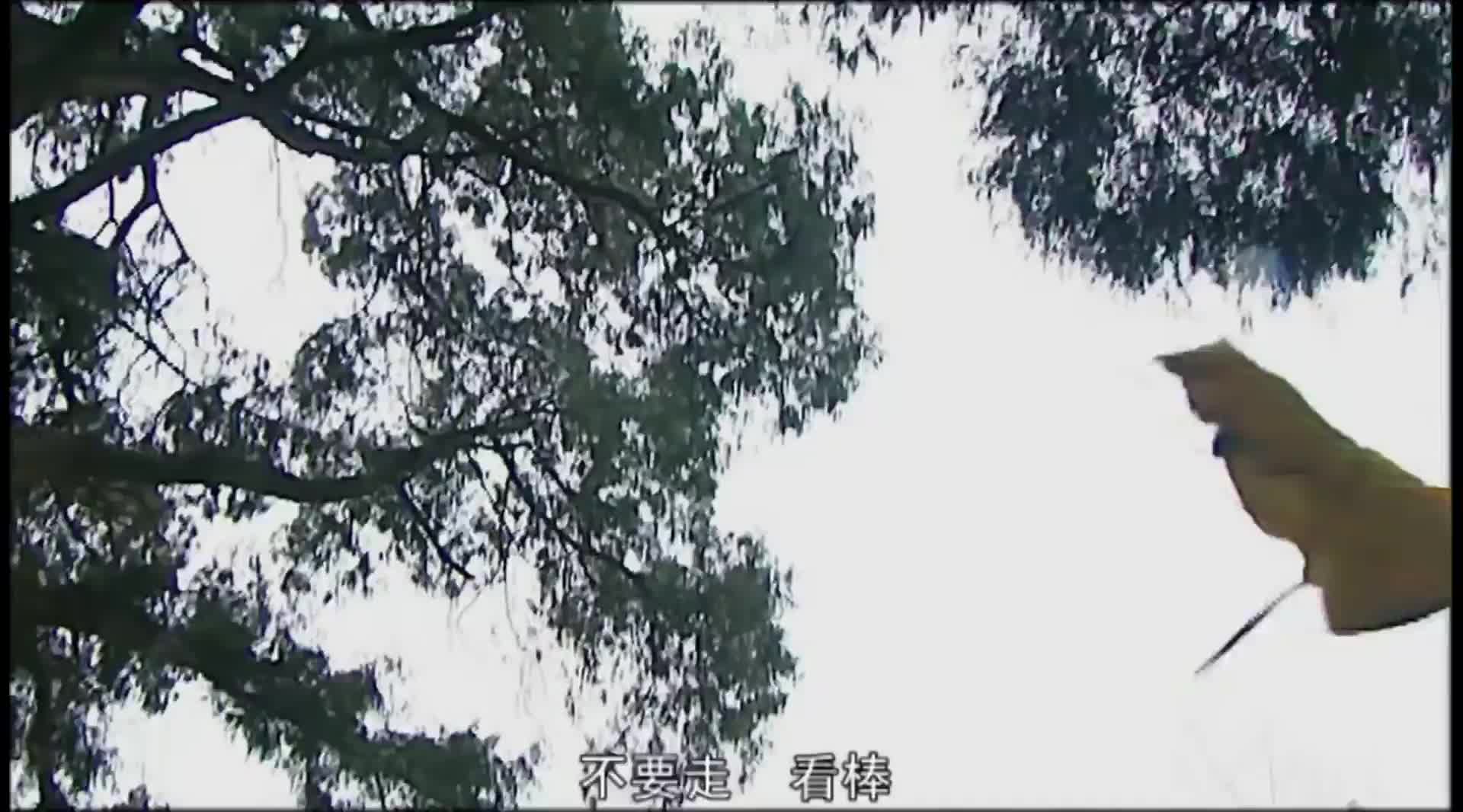 俺老孙来也 通通闪开