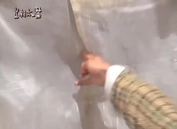 皇朝太医 | 皇上看病也得排队