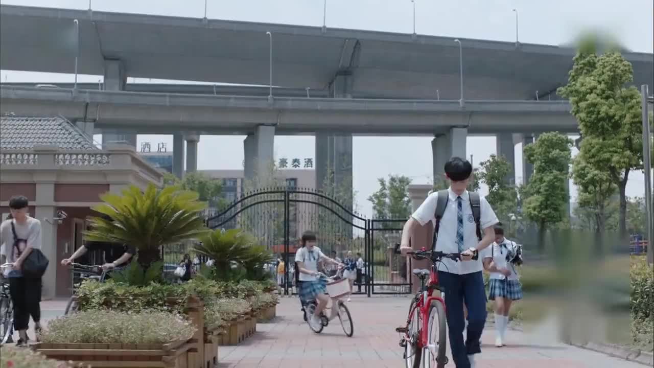 中式教育的缩影