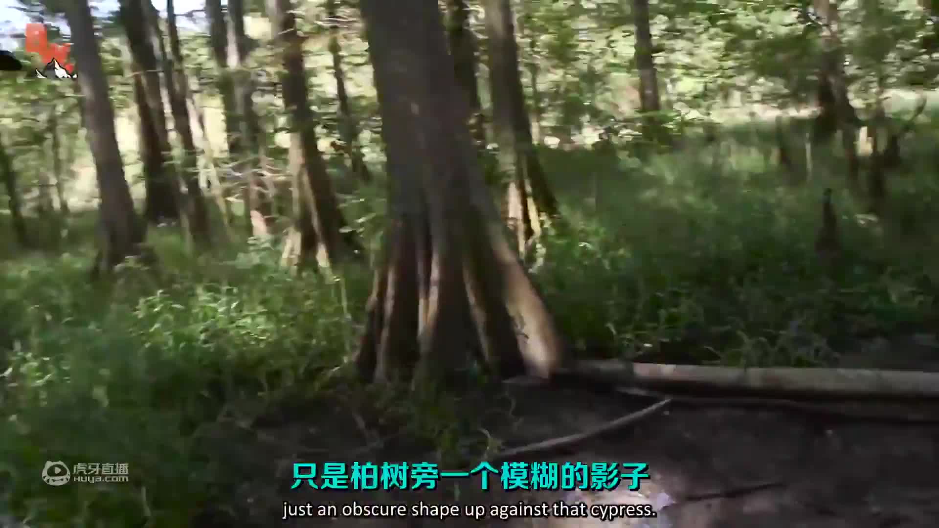 《荒野独居第一季07》选手们还在为捕食而烦恼