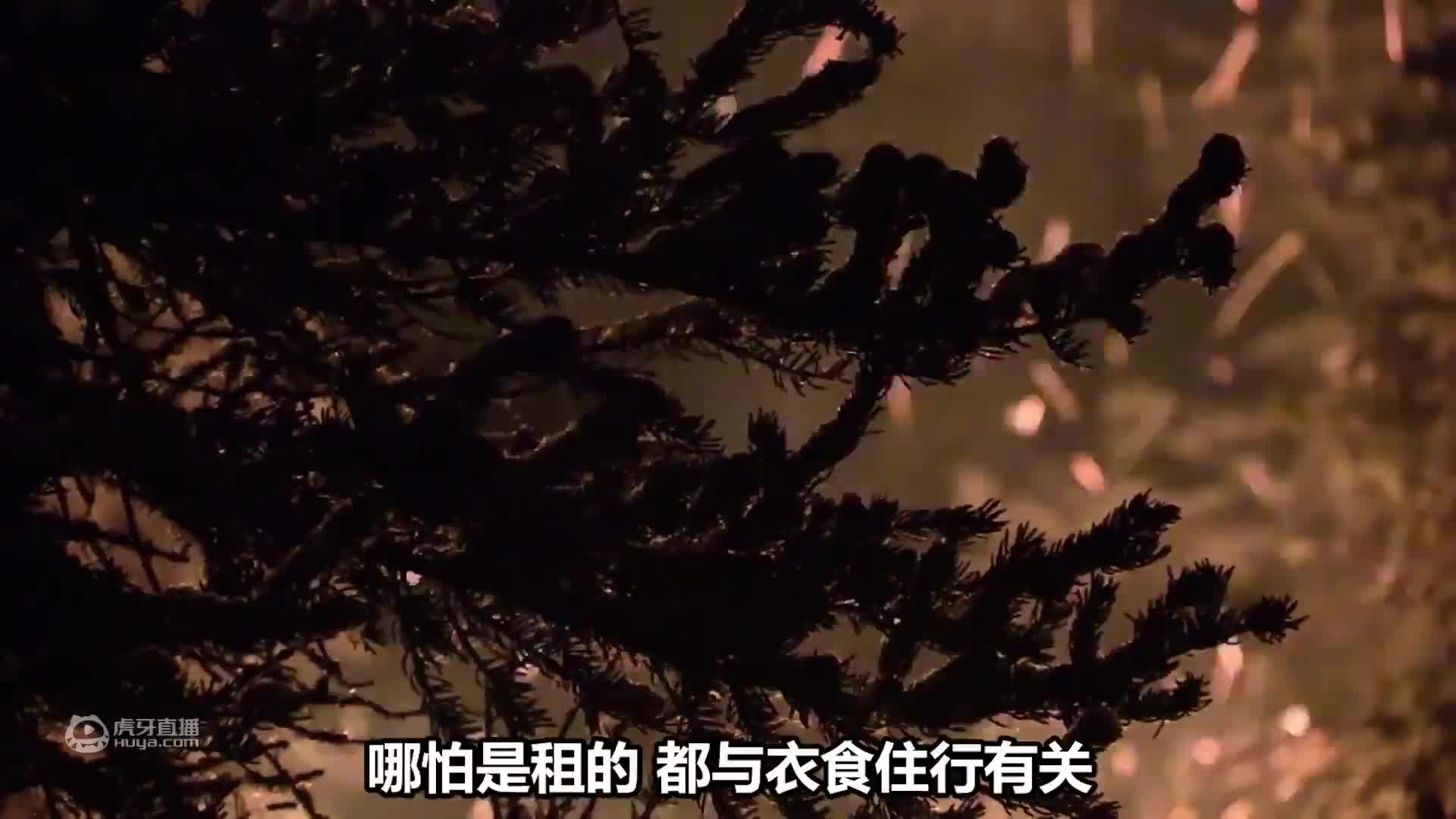 《荒野独居第一季07》选手们还在为捕食而烦恼