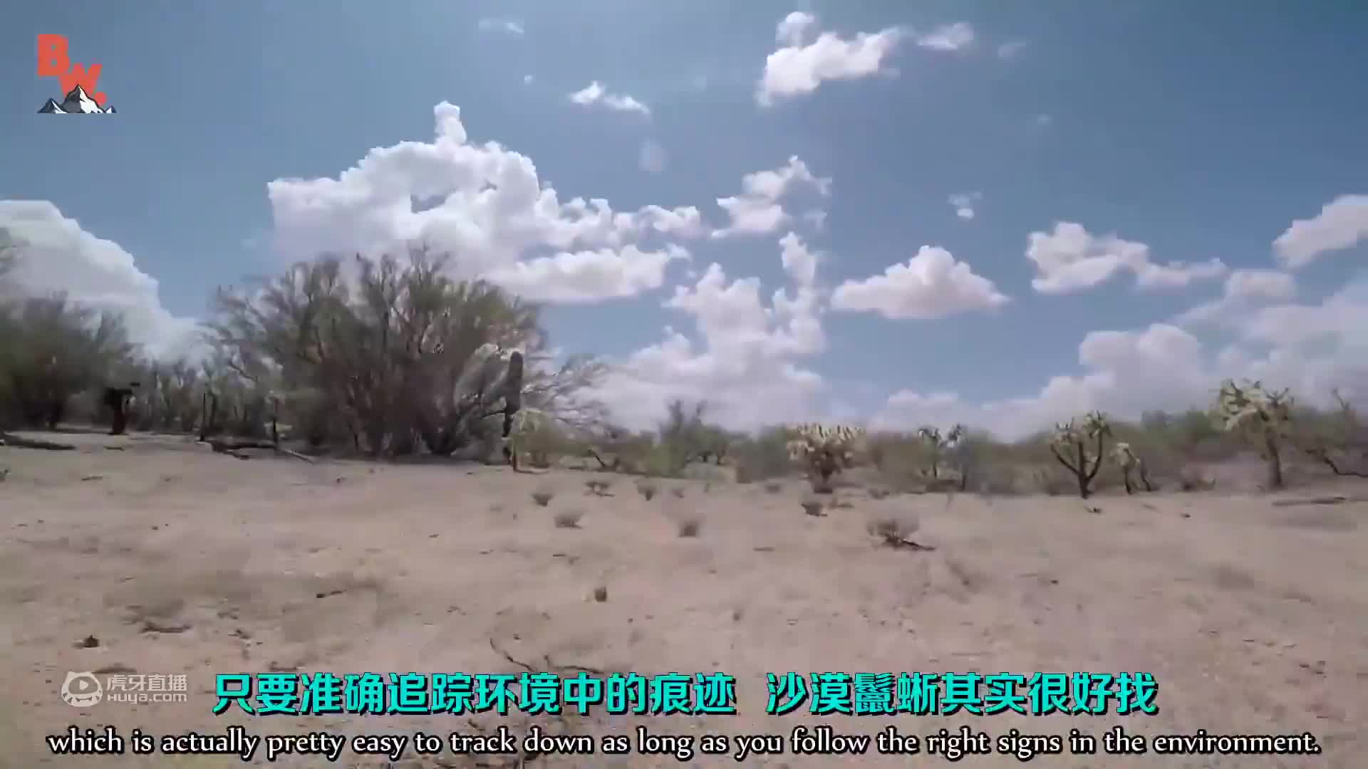 《荒野独居第一季07》选手们还在为捕食而烦恼