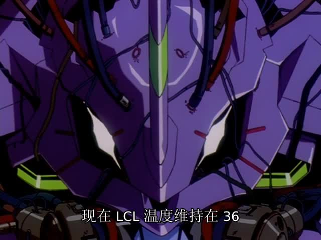和EVA一起长大