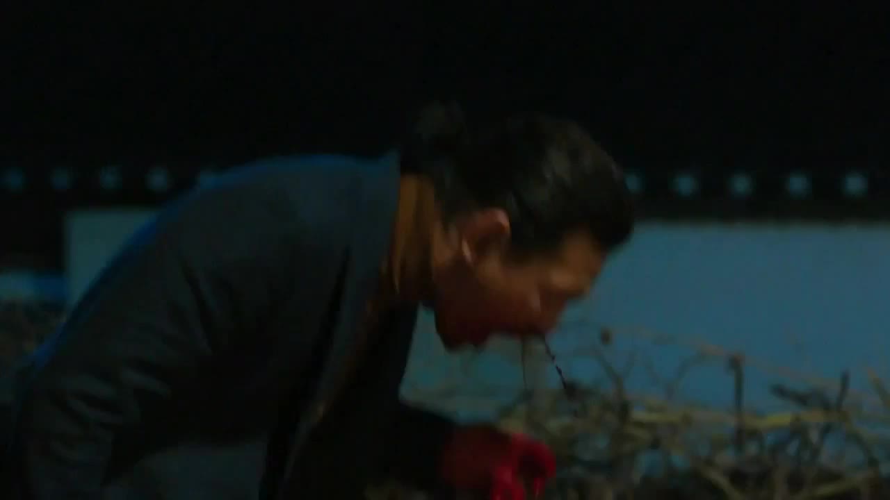 看得我欲罢不能·人要有敬畏之心