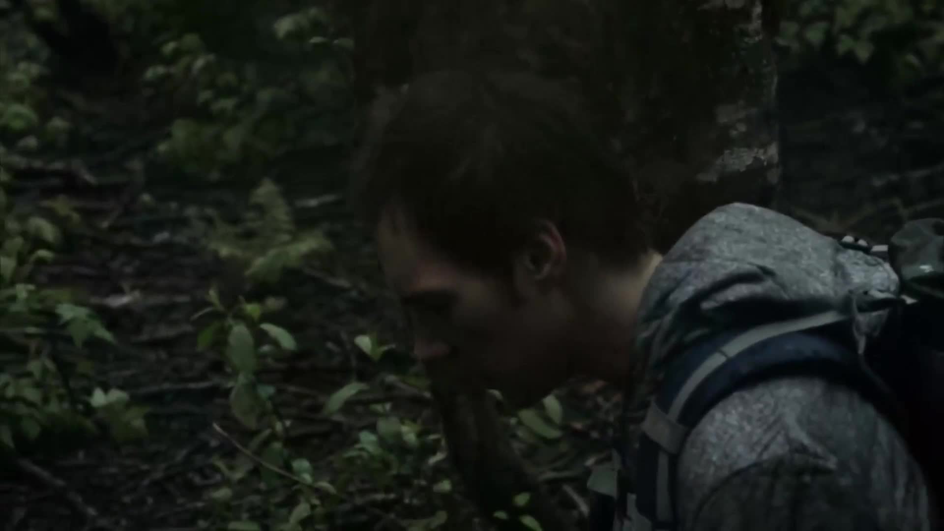 看得我欲罢不能·人要有敬畏之心