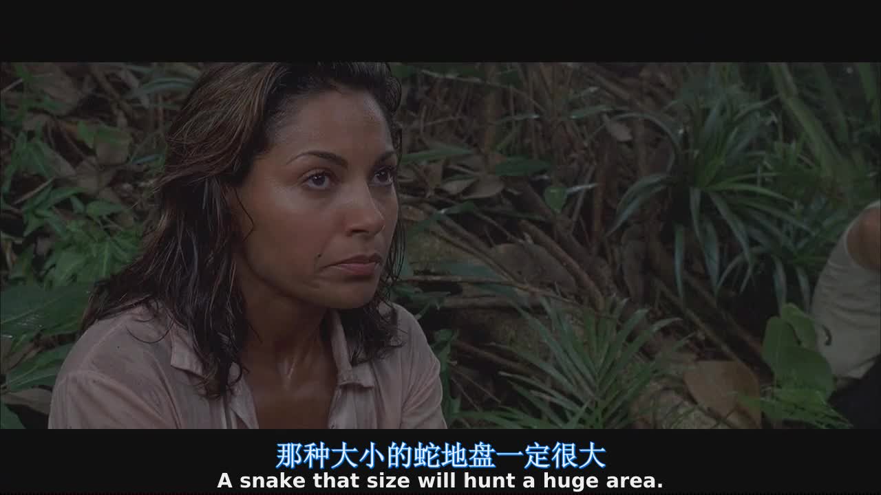 经典电影大片，全系列连播！